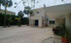 Large 5 bedroom house with swimming pool for sale in Armenochori