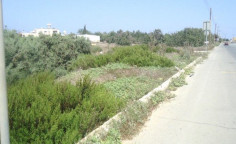 Luxury residential 3074 m2 for sale in Paralimni, Famagusta