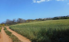 Residential 2718 m2 for sale in Paralimni, Famagusta