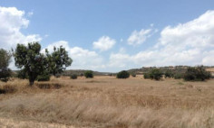 Residential 7024 m2 for sale in Agios Theodoros, Larnaca