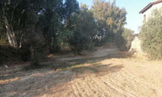 Residential 1162 m2 for sale in Agia Varvara, Nicosia