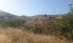 Land for sale in Akrounta, Limassol