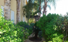 House (detached) in Dhekelia road, Larnaca for sale 