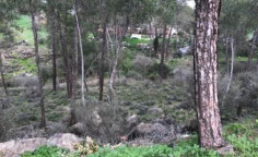 Residential 595 m2 for sale in Psevdas, Larnaca
