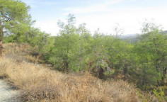 Residential 1752 m2 for sale in Kornos, Larnaca
