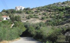 Residential 1134 m2 for sale in Tala, Paphos