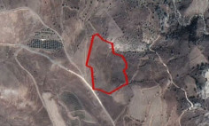 (agricultural) in Koilineia, Paphos for sale , Paphos