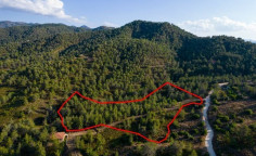 Spacious land for sale in Klirou, Nicosia