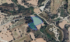 Spacious residential 5519 m2 for sale in Anglisides, Larnaca