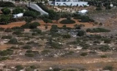 Land 8000 m2 for sale in Peyia, Paphos