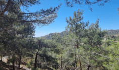 Residential 19733 m2 for sale in Moniatis, Limassol
