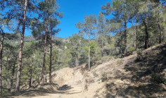 Residential 19733 m2 for sale in Moniatis, Limassol