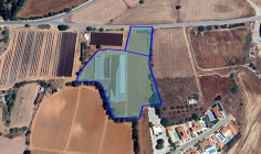 Residential 9700 m2 for sale in Anarita, Paphos