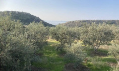 Residential 5018 m2 for sale in Agios Tychonas, Limassol
