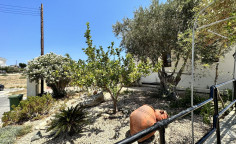 8 bedrooms house with the big plot in Kalavasos 8 bedrooms house with the big plot in Kalavasos