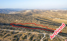Shared agricultural field in Foinikaria, Limassol 