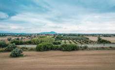 Touristic field in Mazotos, Larnaca , Larnaca