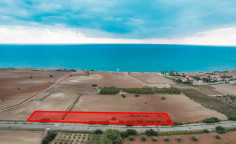 Touristic field in Mazotos, Larnaca , Larnaca