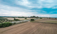 Touristic field in Mazotos, Larnaca , Larnaca