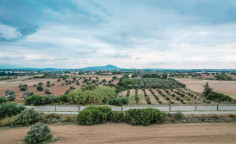 Touristic field in Mazotos, Larnaca , Larnaca