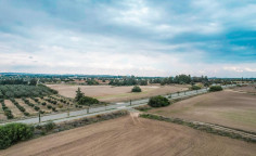 Touristic field in Mazotos, Larnaca , Larnaca