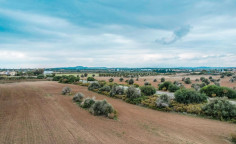 Touristic field in Mazotos, Larnaca , Larnaca