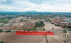 Touristic field in Mazotos, Larnaca , Larnaca