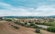 Touristic field in Mazotos, Larnaca , Larnaca