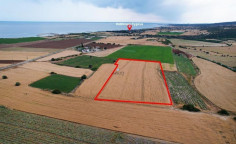 Field in Alaminos, Larnaca , Larnaca