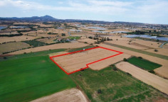 Field in Alaminos, Larnaca , Larnaca