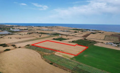Field in Alaminos, Larnaca , Larnaca