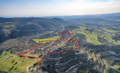 Agricultural 41138 m2 for sale in Larnaca