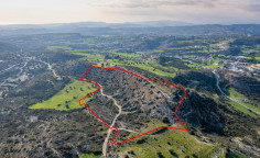 Agricultural 41138 m2 for sale in Larnaca