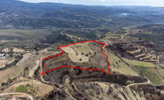 Shared fields in Agios Dimitrianos, Paphos 