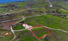 Shared fields in Agios Dimitrianos, Paphos 