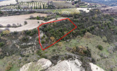 Shared fields in Agios Dimitrianos, Paphos 