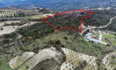 Shared fields in Agios Dimitrianos, Paphos 
