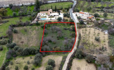 Shared fields in Agios Dimitrianos, Paphos 