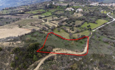 Shared fields in Agios Dimitrianos, Paphos 