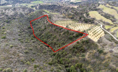 Shared fields in Agios Dimitrianos, Paphos 