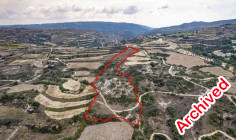 Agricultural field in theletra, Paphos 