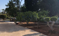 Spacious fully furnished villa with three bedrooms in Agia Napa 