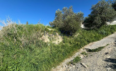 Large development land plot for sale in Erimi , Limassol