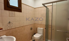 Spacious Mouttagiaka villa with private pool for sale 