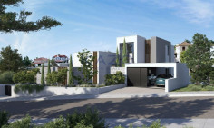 Stunning villa with private pool gym and space (ready 2026) 