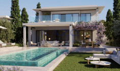 Unique three bedroom villa for sale in Asomatos 