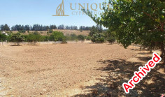 Luxury villa on a big plot of land in Mandria 