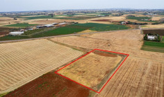 Agricultural 4127 m2 for sale in Avgorou