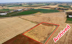 Agricultural 4127 m2 for sale in Avgorou