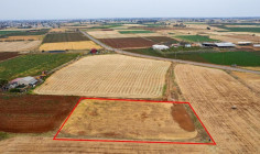 Agricultural 4127 m2 for sale in Avgorou